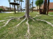 Top Zahara de los Atunes