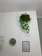 Top Casale Monferrato