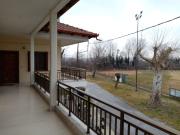 Top Aridaia Top Aridaia