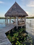 Top Bacalar