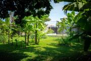 Top Siem Reap