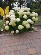 Top Neuruppin Top Neuruppin