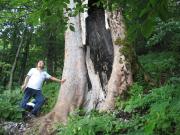 Top Isola del Gran Sasso dʼItalia