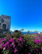 Top Sorrento