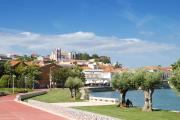 Top Silves