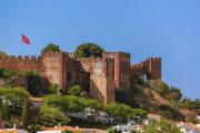 Top Silves