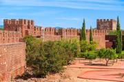 Top Silves