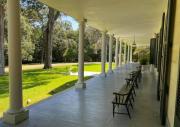 Top Natchez