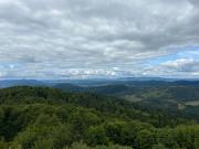 Top Dwernik Top Dwernik