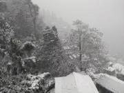 Top Darjeeling
