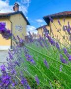 Top Gassino Torinese