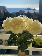 Top Petrovac na Moru