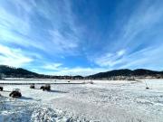 Bakuriani Plaza A113