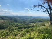 Top Montaldo Bormida