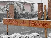 Top Viganò