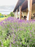 Top Balatonfőkajár