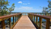 Top Safety Harbor
