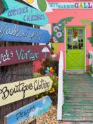 Top Safety Harbor