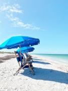 Top Safety Harbor