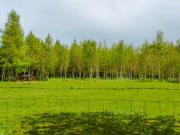 Hawthorn Farm Cottage