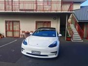 555 Motel Dunedin