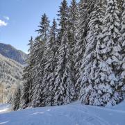 Top Campitello di Fassa