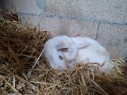 Top Monclar-de-Quercy