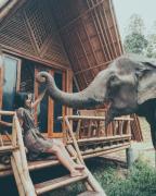 Top Chiang Mai