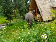 Top Chiang Mai