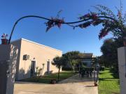 Il Ginepro Il Ginepro