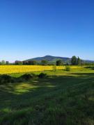 Napraforgó apartman Tokaj Napraforgó apartman Tokaj