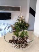 Top Krynica Zdrój Top Krynica Zdrój