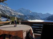 Top Wengen