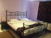 Top Păltiniş Top Păltiniş