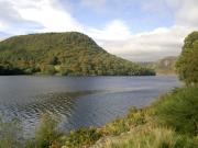 Top Abbey-Cwmhir