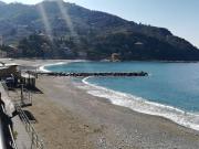 Top Lerici