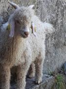 Top La Gacilly Top La Gacilly