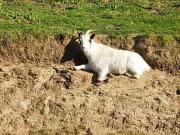 Top La Gacilly Top La Gacilly