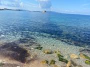 Top Trapani Top Trapani