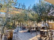 Top Valle de Guadalupe