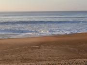 Top Saint-Martin-de-Seignanx