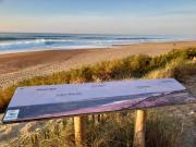 Top Saint-Martin-de-Seignanx