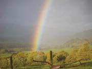 Top Talybont