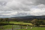 Top Talybont