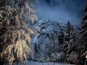 Top Bohinj