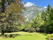Top Bohinj