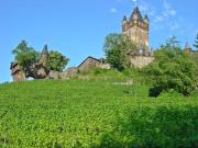 Top Cochem