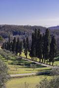 Top Pistoia