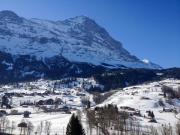 Top Grindelwald