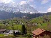 Top Grindelwald